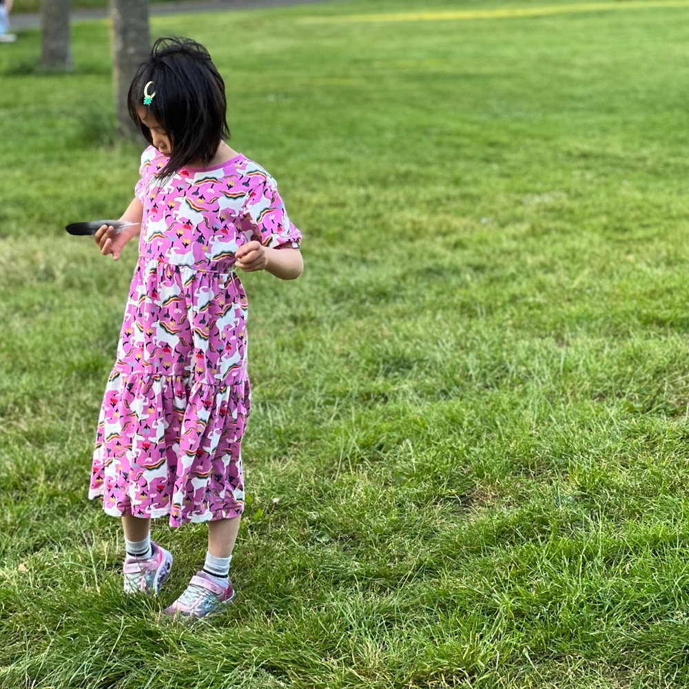 Hanna Andersson pink Rainbow Unicorn Kids Dress